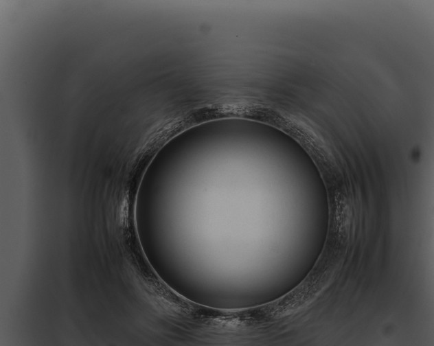 X0000097960502200804011701