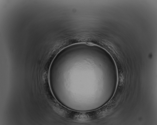 X0000097960503200804011701