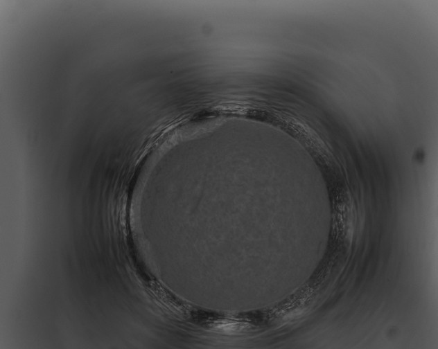 X0000097960504200804011701