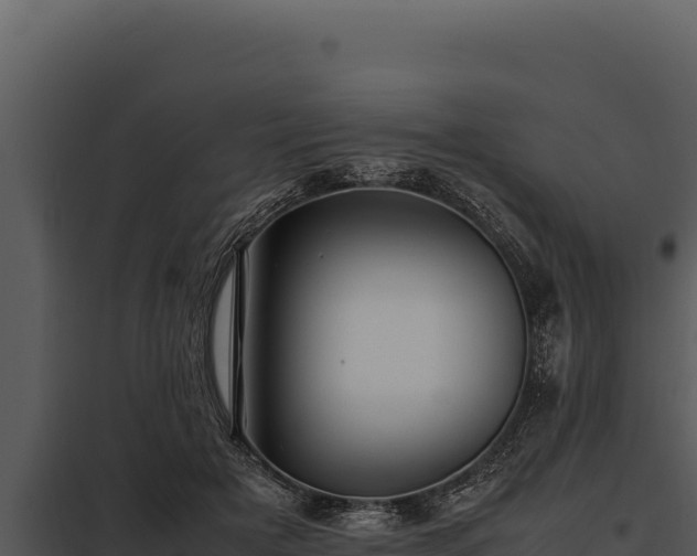 X0000097960505200804011701