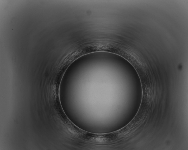 X0000097960506200804011701