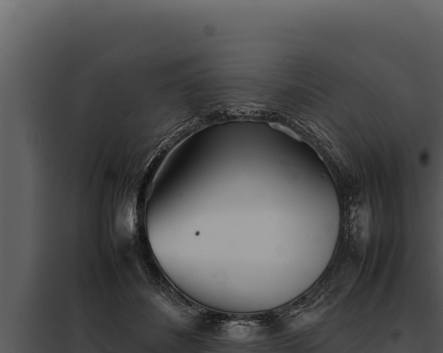 X0000097960508200804011701