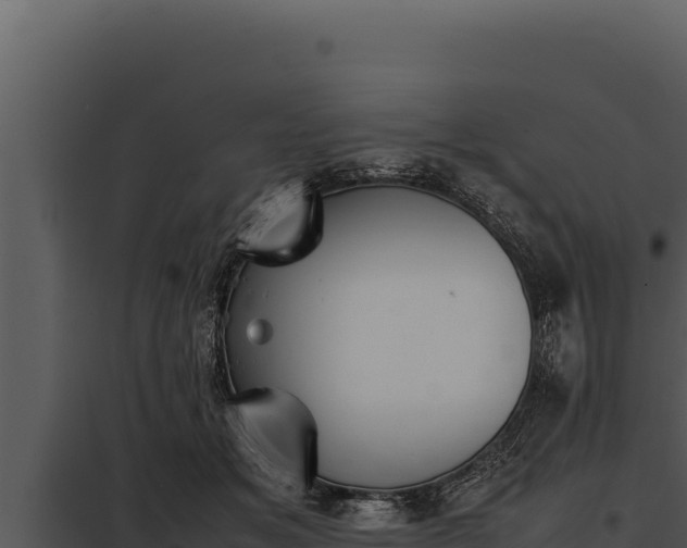 X0000097960509200804011701