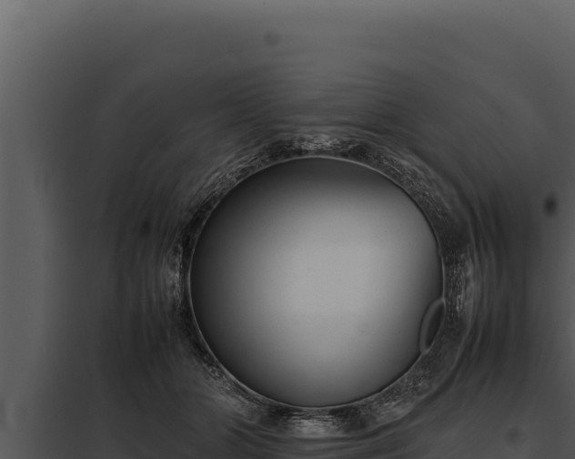 X0000097960510200804011701