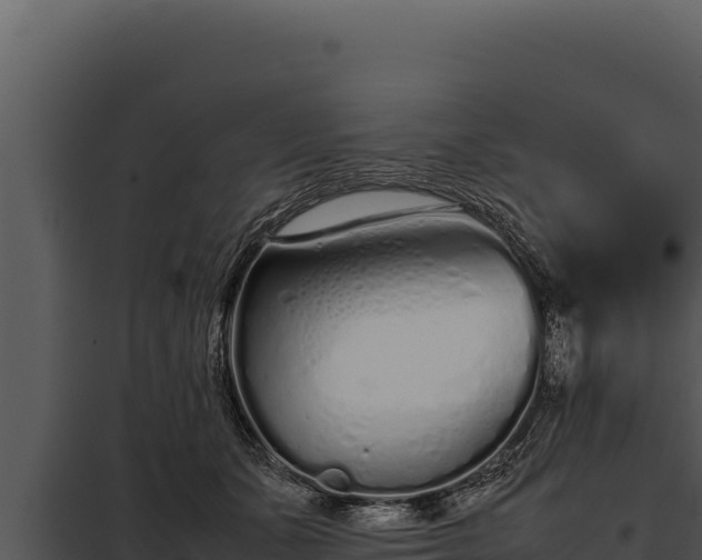 X0000097960511200804011701