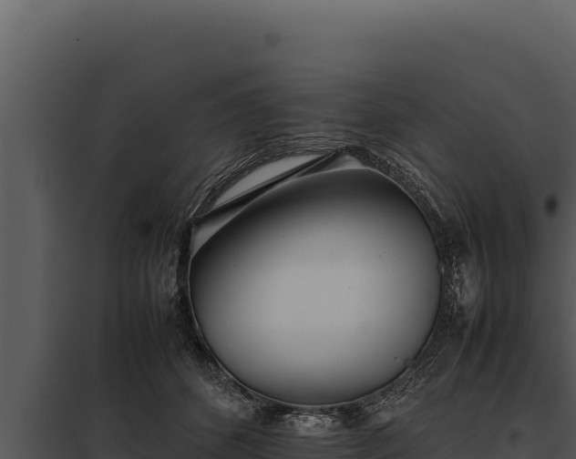 X0000097960512200804011701