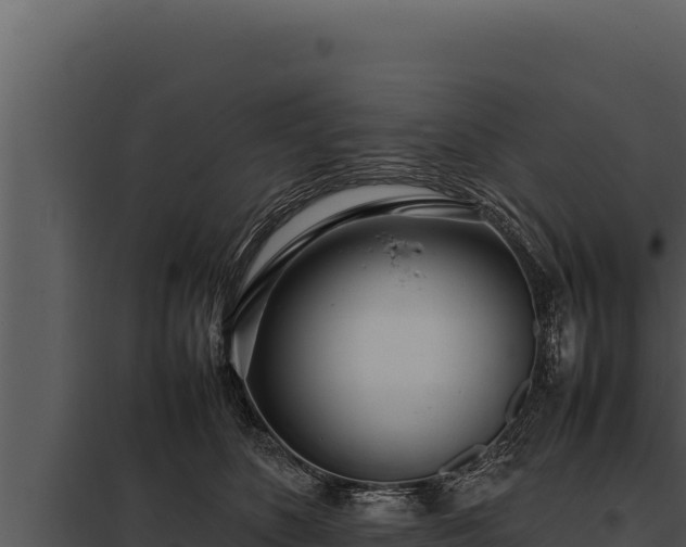 X0000097960516200804011701