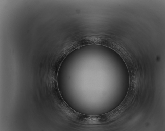 X0000097960518200804011701
