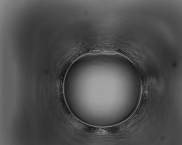 X0000097960519200804011701