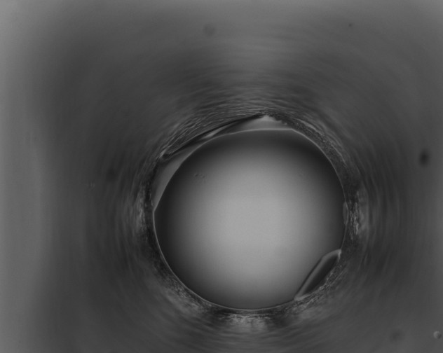 X0000097960520200804011701