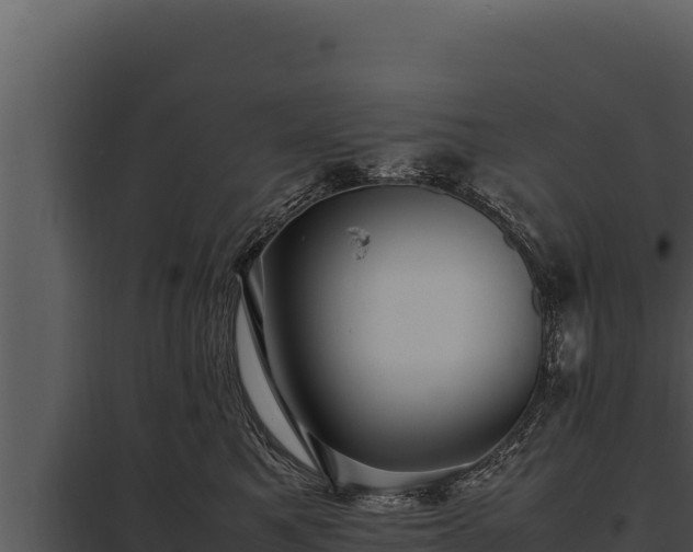 X0000097960521200804011701