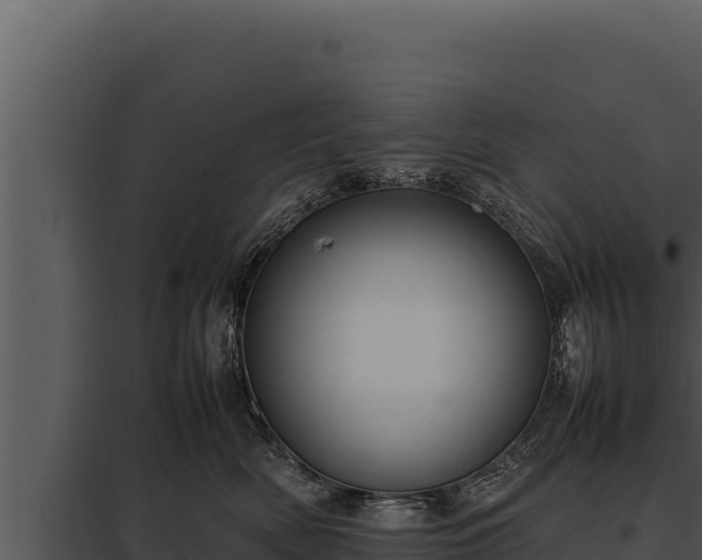 X0000097960522200804011701