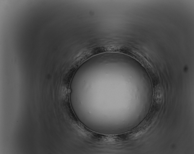 X0000097960523200804011701