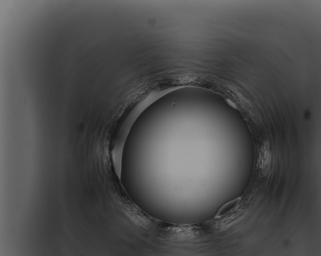 X0000097960524200804011701