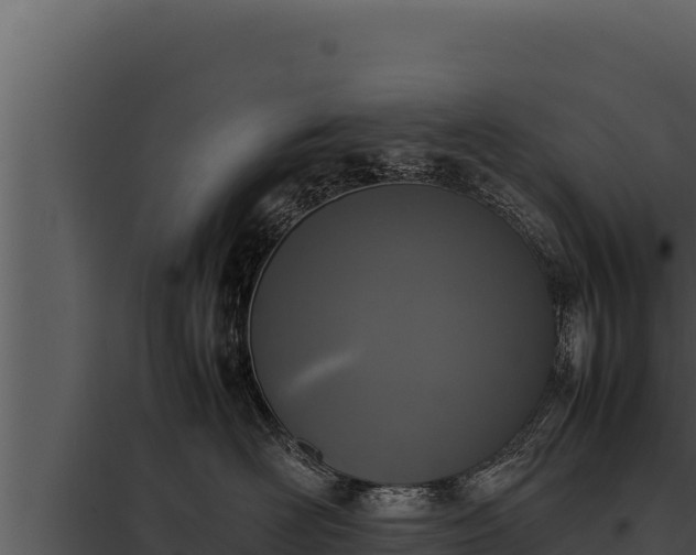 X0000097960526200804011701