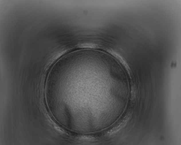 X0000097960529200804011700