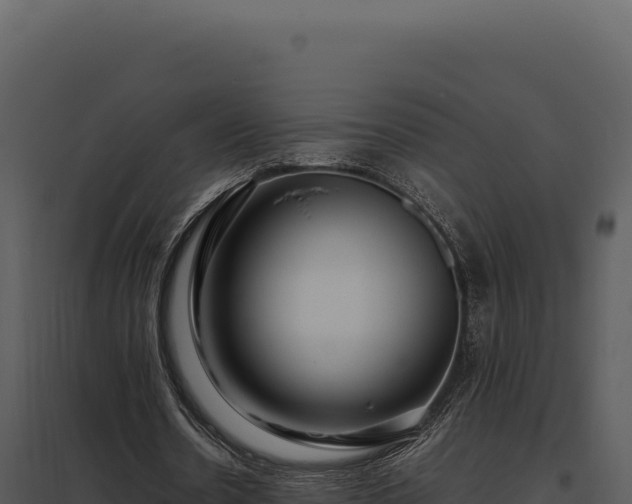 X0000097960530200804011700