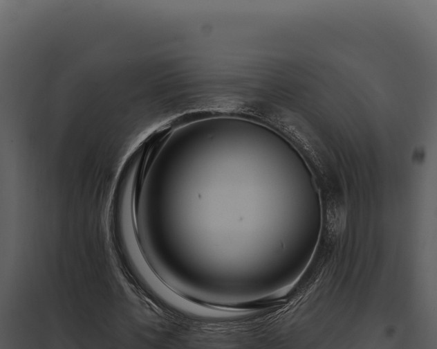 X0000097960532200804011700