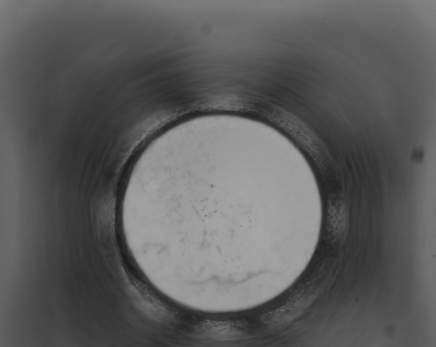 X0000097960534200804011700