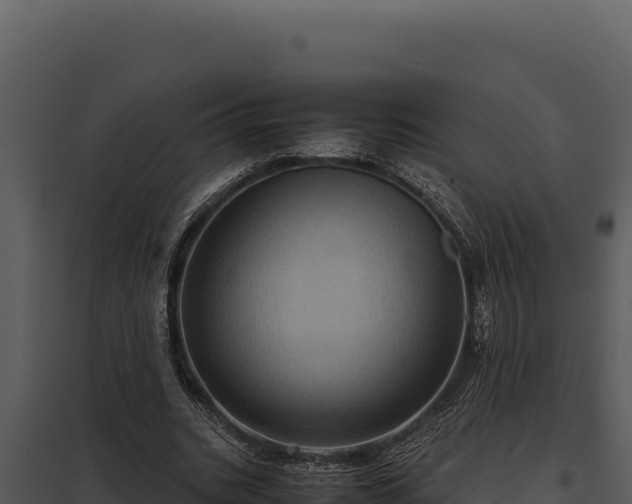 X0000097960535200804011700
