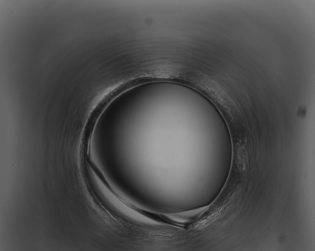 X0000097960536200804011700
