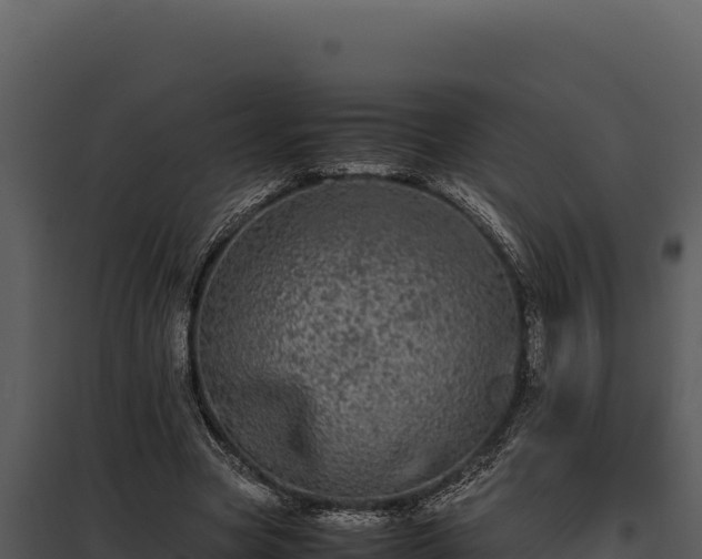 X0000097960537200804011700