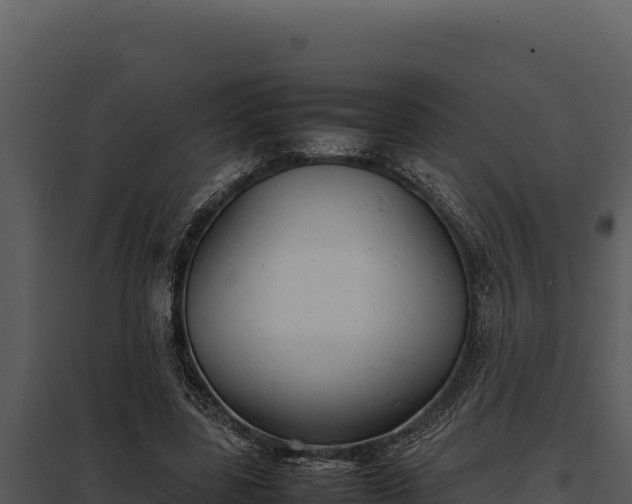 X0000097960539200804011700