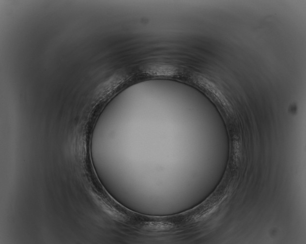 X0000097960541200804011700