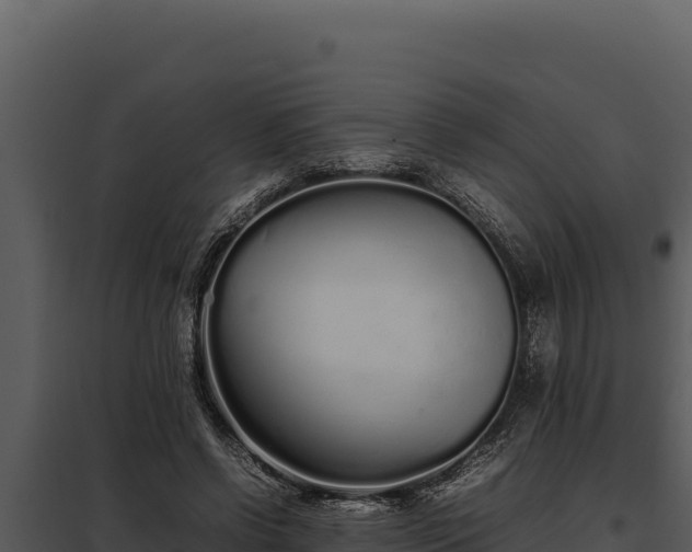 X0000097960542200804011700