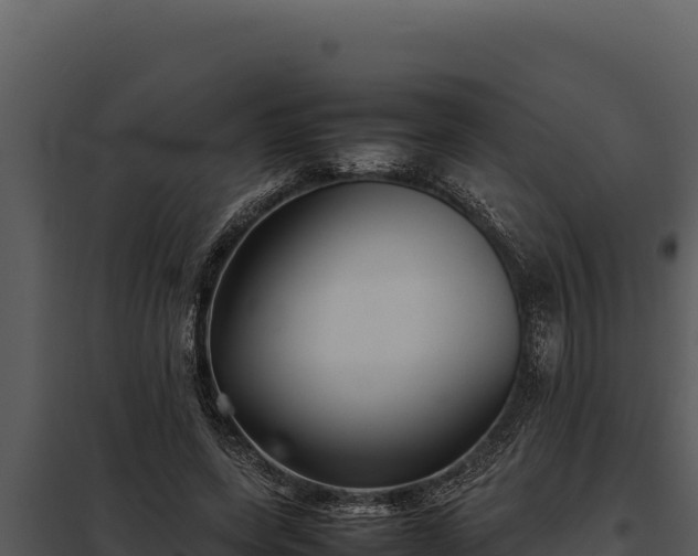 X0000097960543200804011700