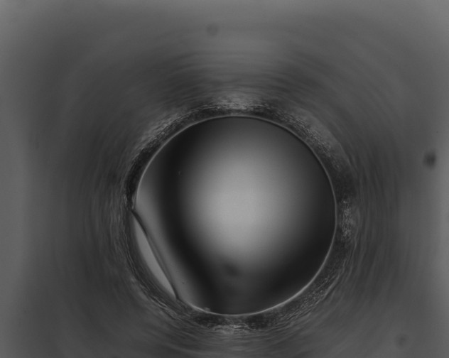 X0000097960544200804011700