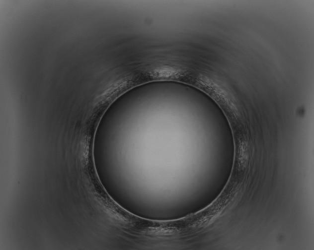 X0000097960545200804011700