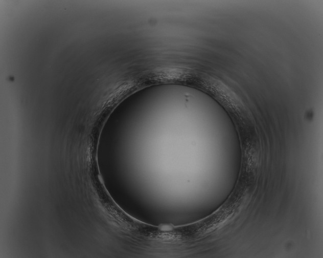 X0000097960546200804011700