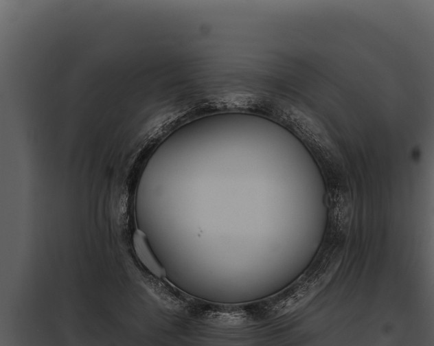 X0000097960548200804011700