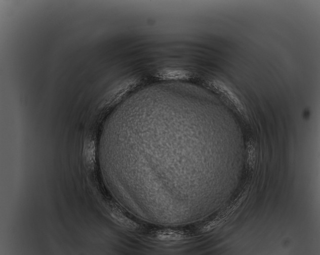 X0000097960549200804011700