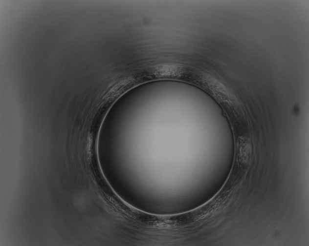X0000097960550200804011700