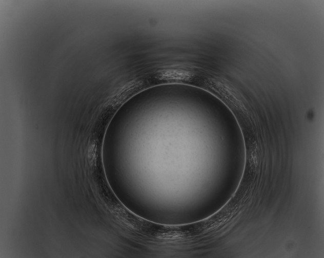X0000097960551200804011700