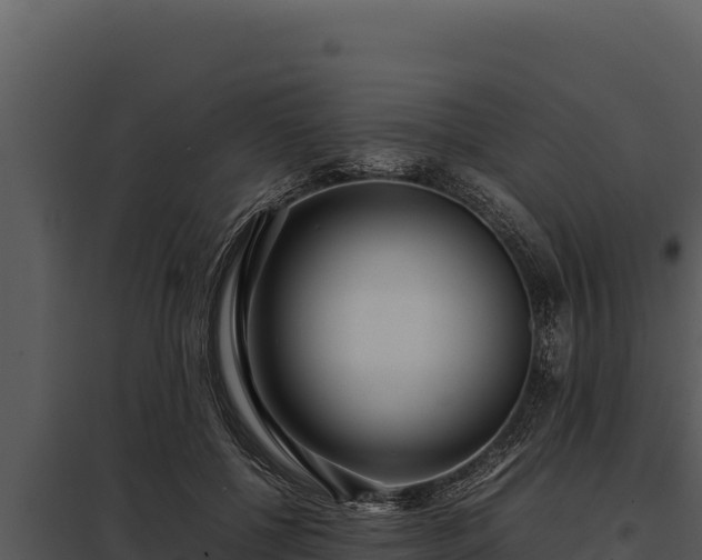 X0000097960552200804011700