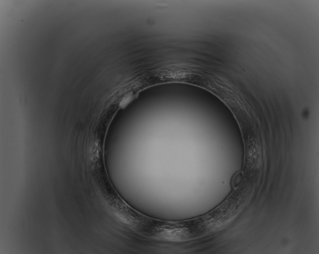 X0000097960555200804011700