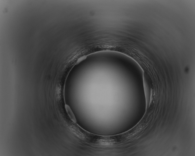 X0000097960556200804011700