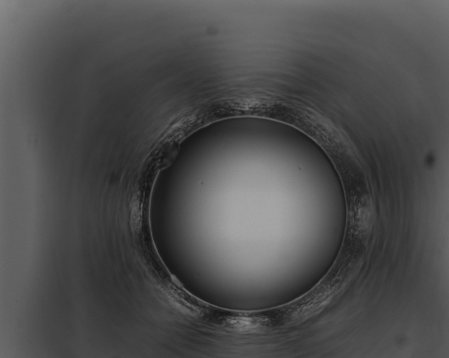 X0000097960558200804011700