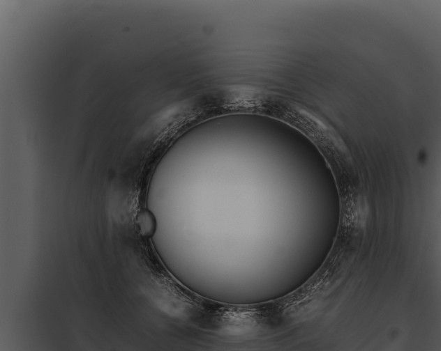 X0000097960560200804011700