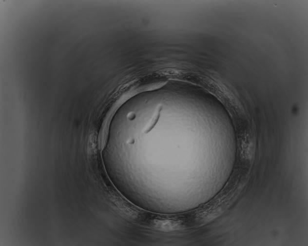X0000097960561200804011700