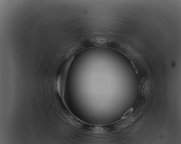 X0000097960562200804011700