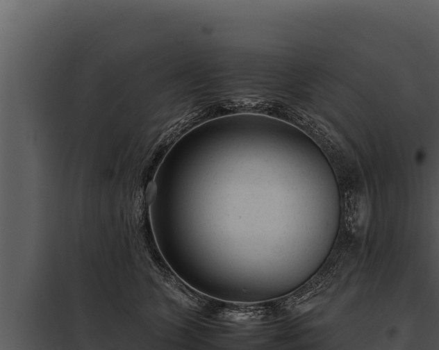 X0000097960563200804011700