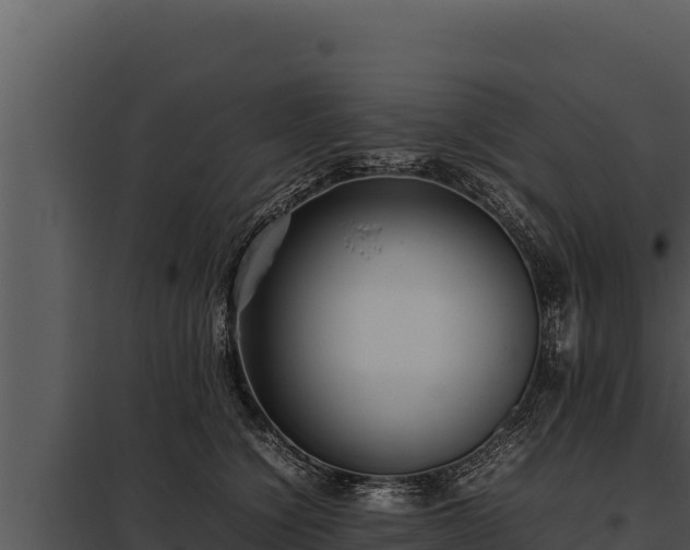 X0000097960564200804011700