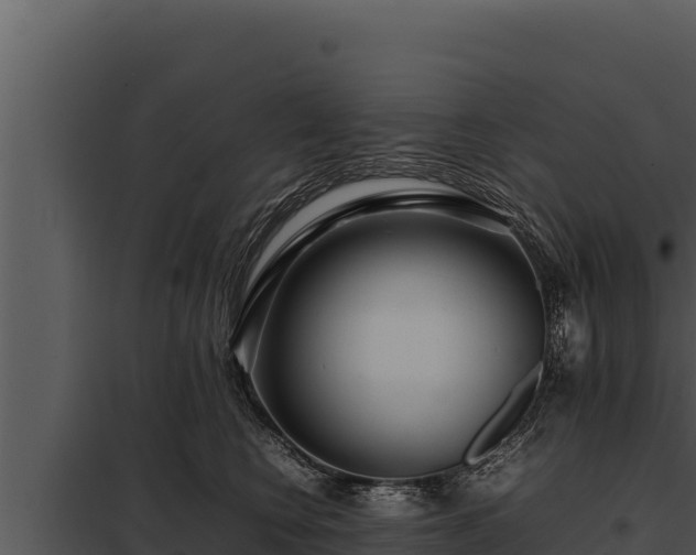 X0000097960566200804011700