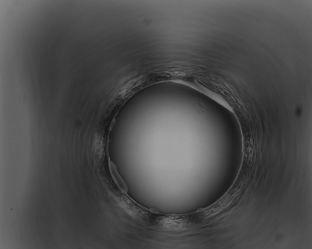 X0000097960568200804011701
