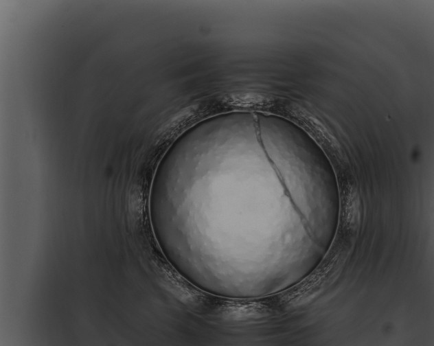 X0000097960569200804011701
