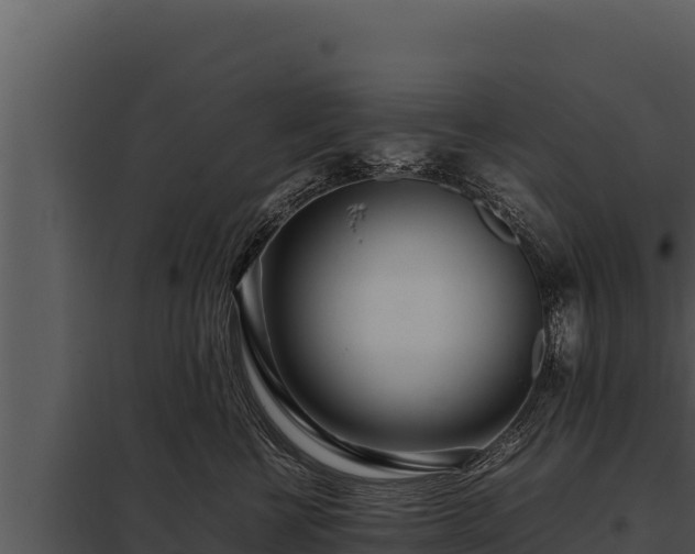 X0000097960570200804011701